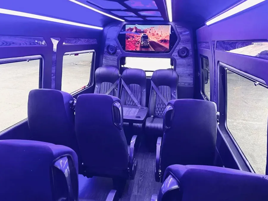 14-PASSENGER-LUXURY-SPRINTER3